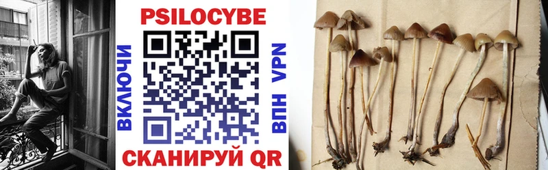 Галлюциногенные грибы Magic Shrooms  Купить  Еманжелинск 